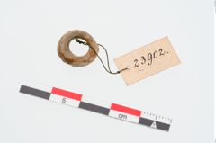 Foto von Steinringperle (NHMW-PRAE-023902)